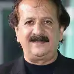 Majid Majidi