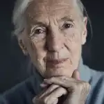 Jane Goodall