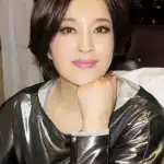 Liu Xiaoqing