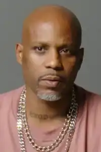  DMX