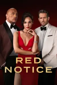 Affiche de Red Notice