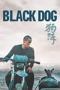 Affiche de Black Dog