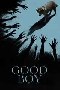 Affiche de Good Boy