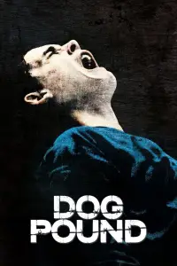 Affiche de Dog Pound