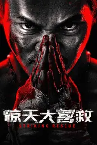 Affiche de Striking Rescue