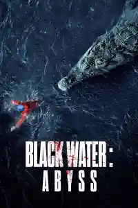 Affiche de Black Water : Abyss