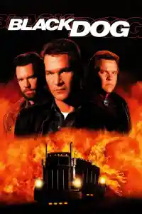 Affiche de Black Dog