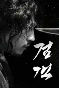 Affiche de The Swordsman