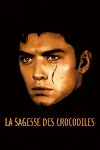 Affiche de La Sagesse des crocodiles
