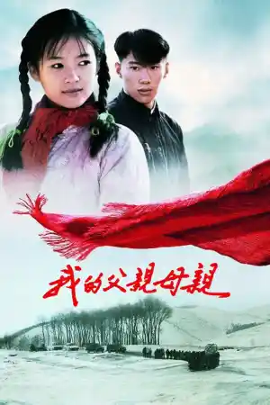 Affiche de The Road Home