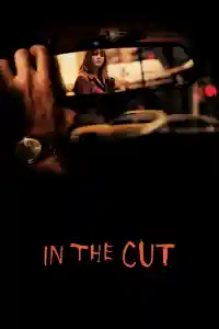 Affiche de In the Cut