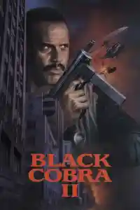 Affiche de The Black Cobra 2