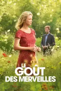 Affiche de Le Goût des merveilles