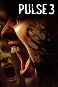 Affiche de Pulse 3
