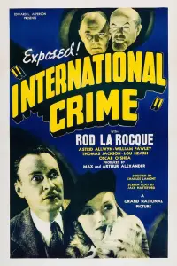 Affiche de International Crime