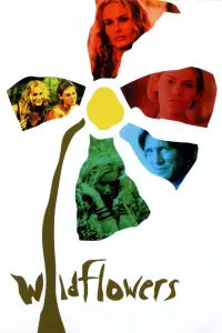 Affiche de Wildflowers