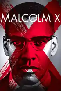 Affiche de Malcolm X