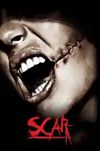 Affiche de Scar