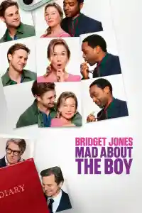 Affiche de Bridget Jones : Folle de lui