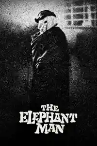 Affiche de Elephant Man