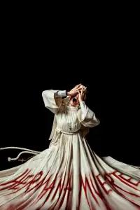 Affiche de Les Ordres du mal