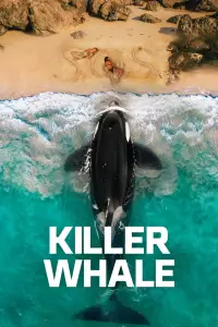Affiche de Killer Whale