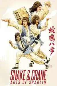 Affiche de Le Magnifique