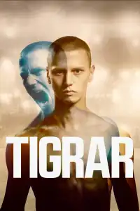 Poster : Tigrar