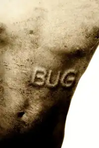 Poster : Bug