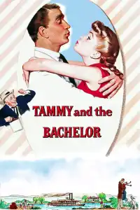 Poster : Tammy et le célibataire