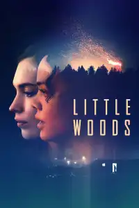 Poster : Little Woods