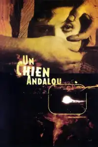 Poster : Un chien andalou