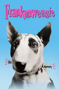 Poster : Frankenweenie