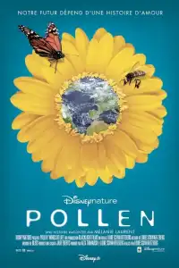 Pollen