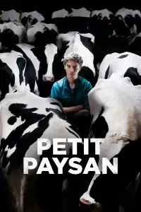 Poster : Petit Paysan