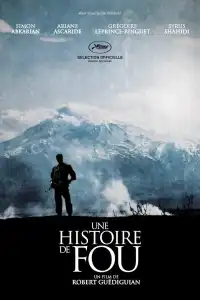 Poster : Une histoire de fou