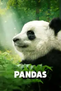 Poster : Pandas