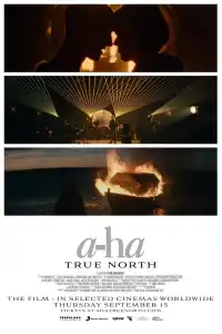 Poster : a-ha: TRUE NORTH