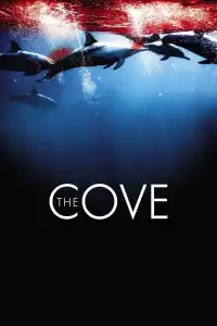 Poster : The Cove : La baie de la honte