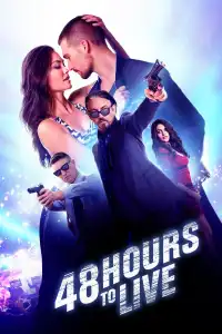 Poster : 48 Hours to Live