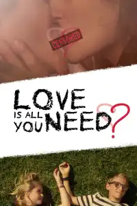 Poster : Love Is All You Need?