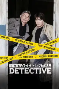 Poster : The Accidental Detective