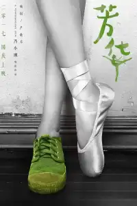 Poster : 芳华纪录片：我把芳华献给你