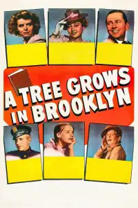 Poster : Le Lys de Brooklyn