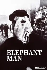 Poster : Elephant Man