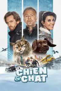 Chien et Chat