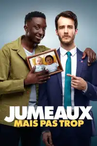 Poster : Jumeaux mais pas trop