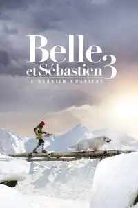 Belle et Sébastien 3 : Le Dernier Chapitre