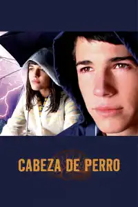 Poster : Cabeza de perro