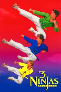 Ninja Kids 2 : Les 3 Ninjas contre-attaquent